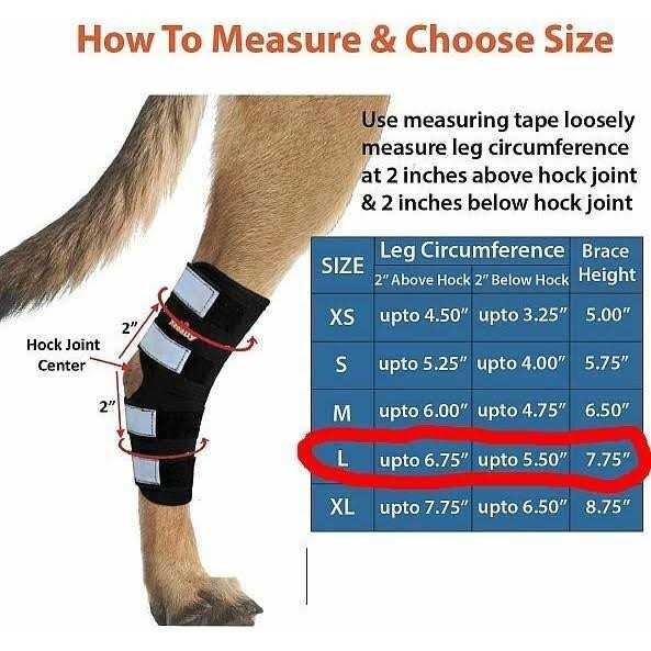 Dog Hind Leg Brace with Reflective Straps K6031