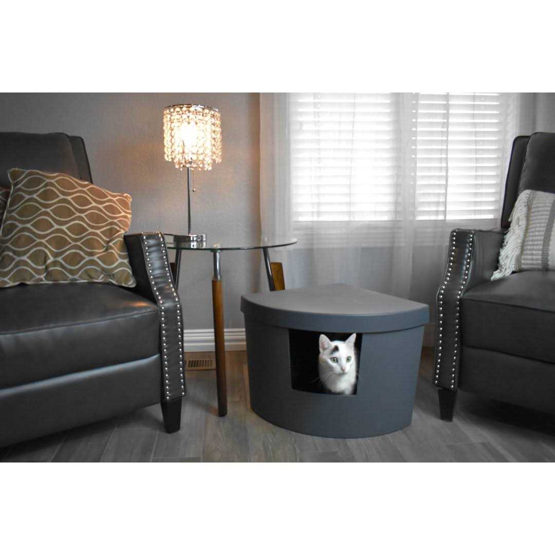 Plastic Enclosed Litter Box W920