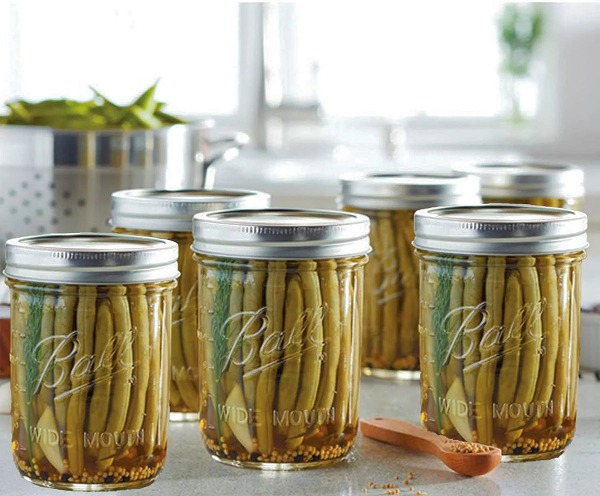 16 oz 6 Pack Wide Mouth Mason Jars with Airtight Lids and Bands E767