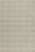 Sage Area Rug 2 1 x 7 8 Rectangle D820