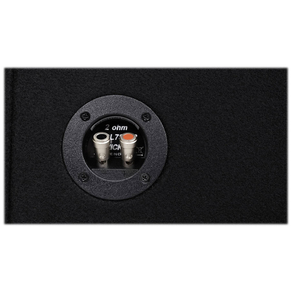 12x22 2 Ohm Subwoofer B236064