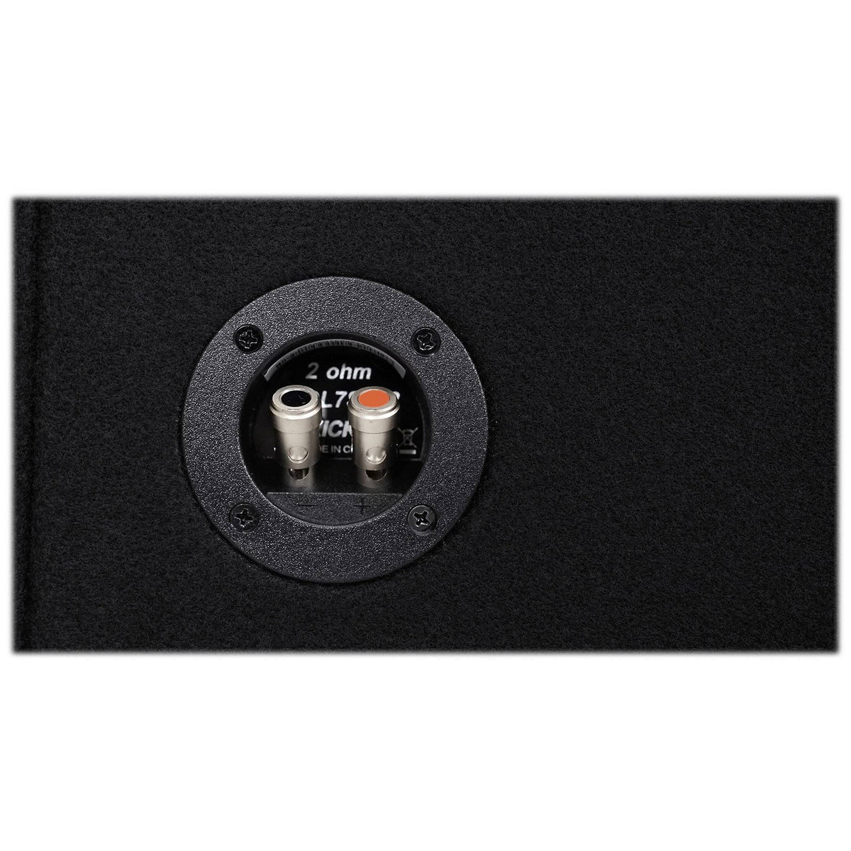 12x22 2 Ohm Subwoofer B236064