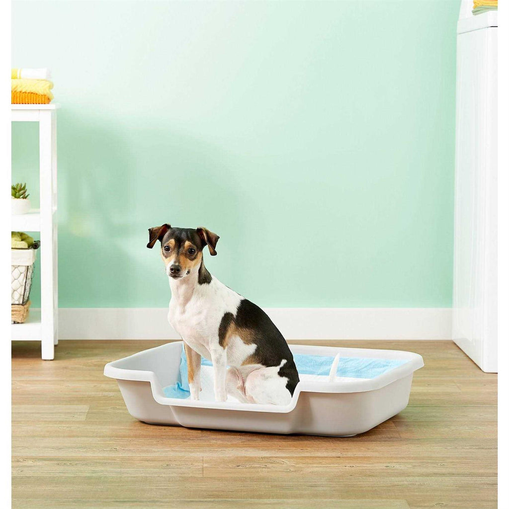 Dog Litter Box D508