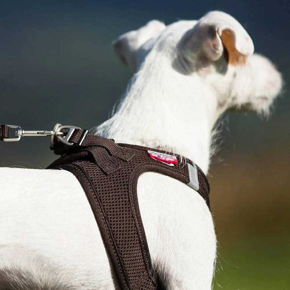 Air-Mesh Dog Harness H187