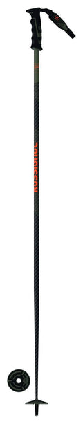 Ski Poles X35134