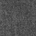 Gray 6 Feet x 15 Feet Indoor Outdoor Carpet with Rubber Backing T9364