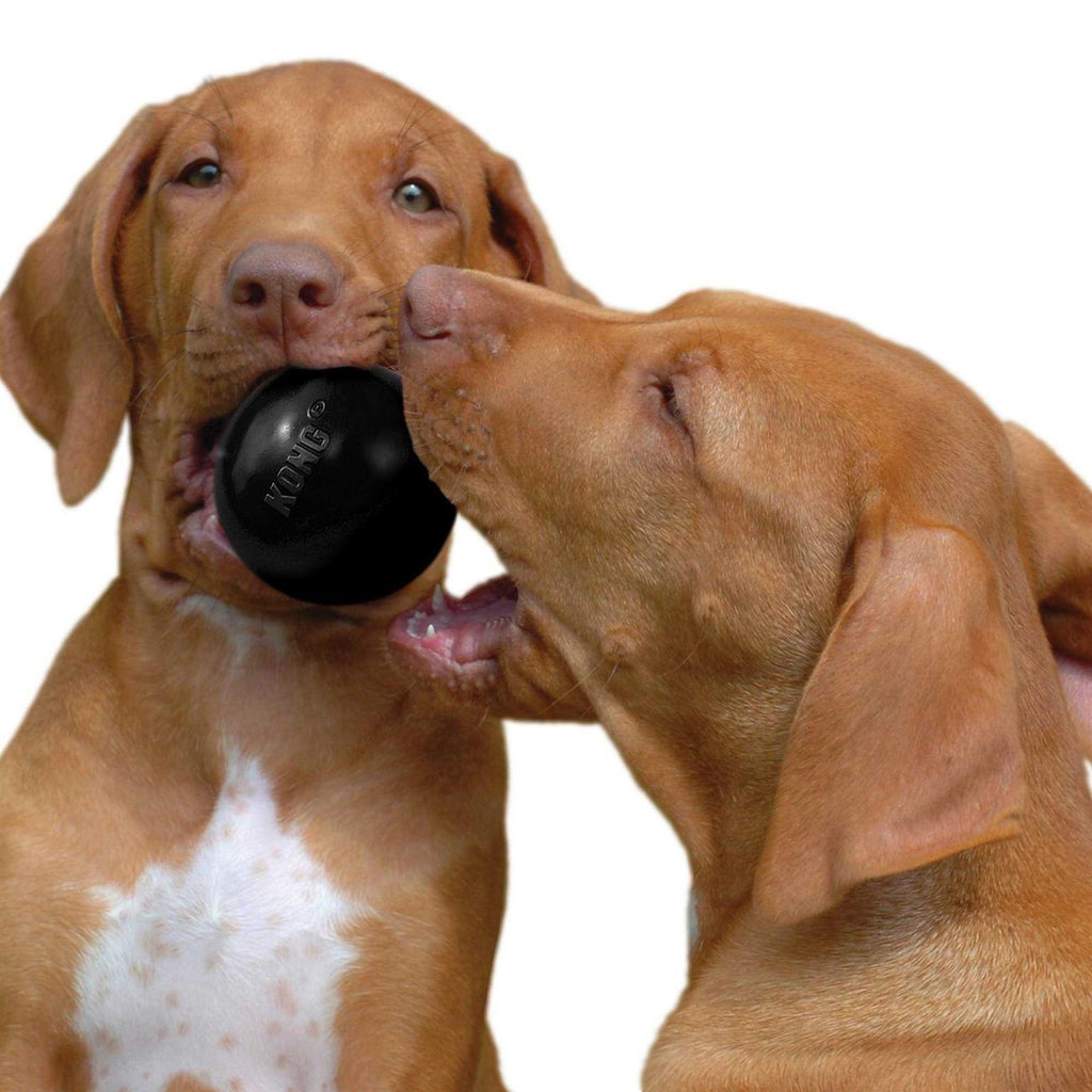 KONG Ball Dog Toy Y490432