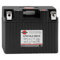 Lithium-Iron Battery J81685