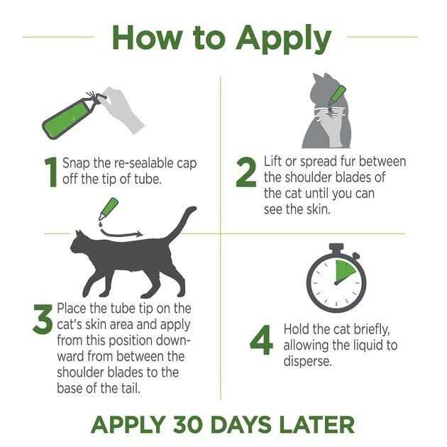 Flea & Tick Topicals for Cats W423697