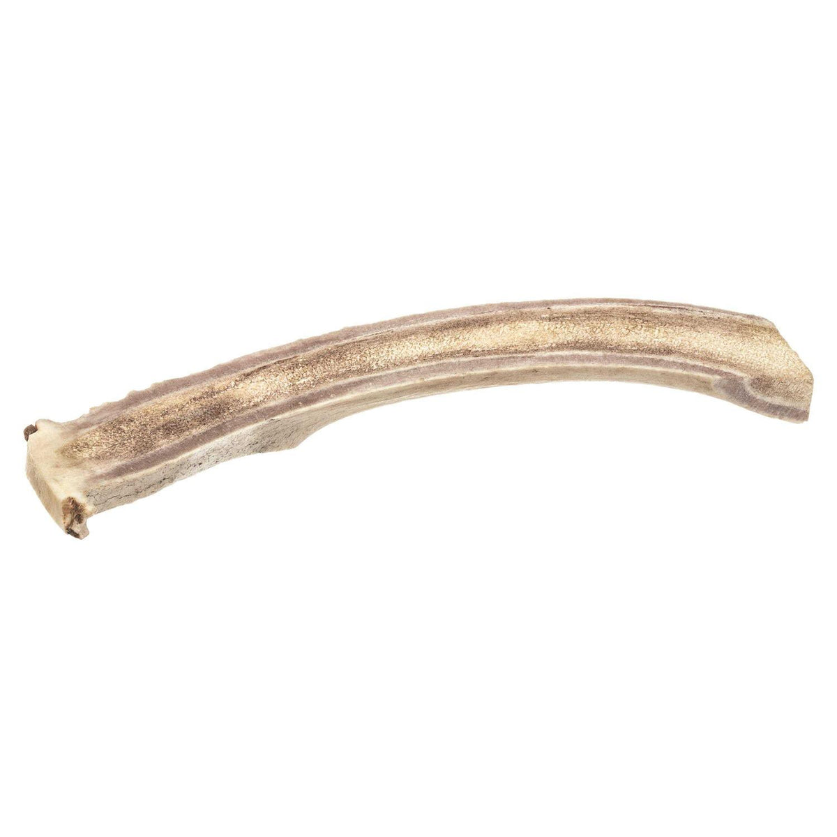 Deer Antler N55340