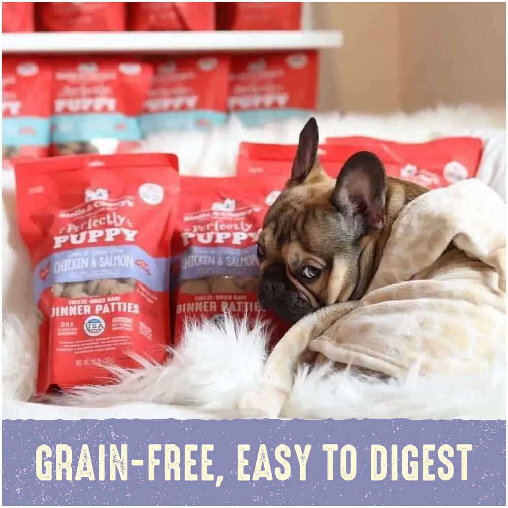 Freeze-Dried Raw Dog Food Salmon Patties J14345