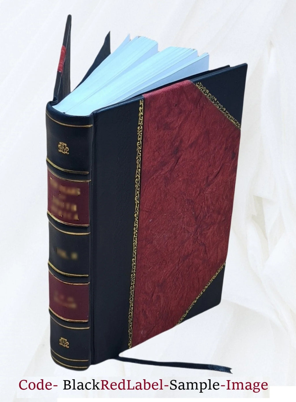 American rejected addresses, now first published from the original mauscripts 1855 K916085
