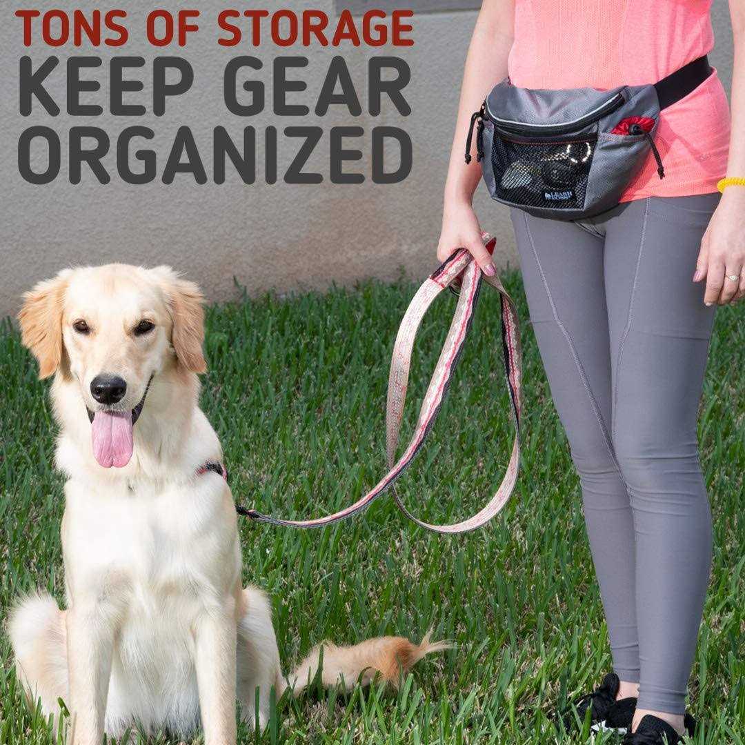 Dog Treat Training Pouch with Waste Bag Dispenser L775878