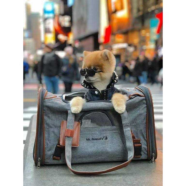 Expandable Airline Approved Pet Carrier P61732