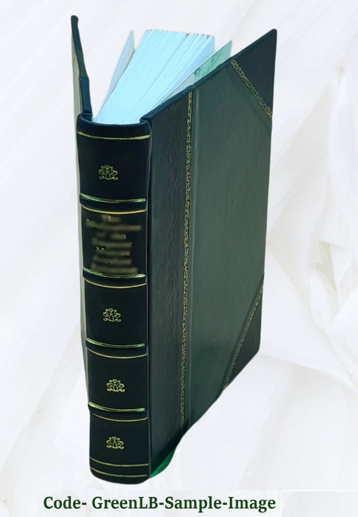 Civil War Leather Bound E445261
